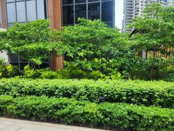 Parc Botannia (D28), Condominium #434605901